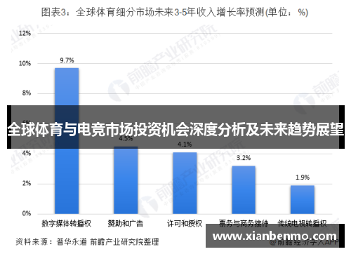 全球体育与电竞市场投资机会深度分析及未来趋势展望